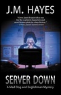 Cover: Server Down - Poisoned Pen Press