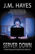 Cover: Server Down - Poisoned Pen Press