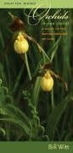 Cover: Orchids in Your Pocket - University of Iowa Press