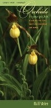 Cover: Orchids in Your Pocket - University of Iowa Press
