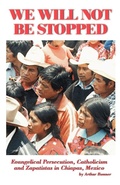 Cover: We Will Not Be Stopped - Universal Publishers