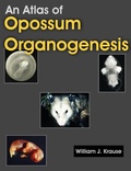 Bild: An Atlas of Opossum Organogenesis - Universal Publishers