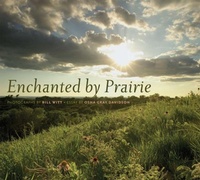 Enlarge image Cover: Enchanted by Prairie - University of Iowa Press