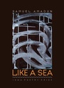 Cover: Like a Sea - University of Iowa Press