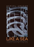 Cover: Like a Sea - University of Iowa Press