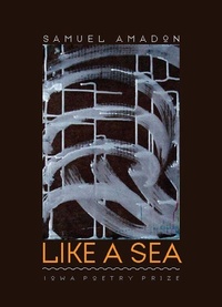 Enlarge image Cover: Like a Sea - University of Iowa Press