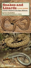Cover: Snakes and Lizards in Your Pocket - University of Iowa Press