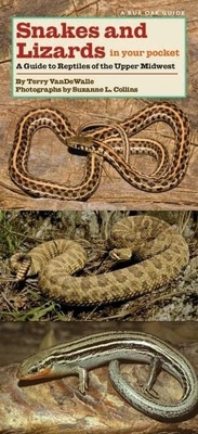 Abbildung von: Snakes and Lizards in Your Pocket - University Of Iowa Press