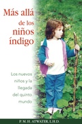 Cover: Mas Alla de Los Ninos Indigo - Inner Traditions International