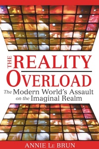Enlarge image Cover: Reality Overload - Inner Traditions Bear and Company
