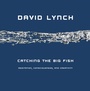 Cover: Catching the Big Fish - Michael Joseph Ltd