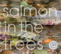 Enlarge image Cover: Salmon in the Trees - Mountaineers Books