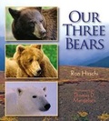 Cover: Our Three Bears - Boyds Mills Press