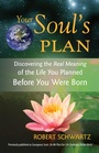 Cover: Your Soul's Plan - Frog Ltd