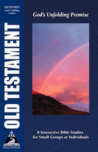 Enlarge image Cover: Old Testament - Crossway Books