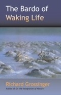 Cover: The Bardo of Waking Life - North Atlantic Books