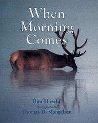 Enlarge image Cover: When Morning Comes - Boyds Mills Press