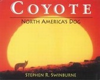 Enlarge image Cover: Coyote - Boyds Mills Press