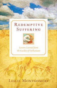Enlarge image Cover: Redemptive Suffering - Crossway Books