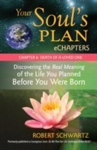 Enlarge image Cover: Your Soul's Plan eChapters - Chapter 6: Death of a Loved One - North Atlantic Books