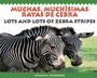 Cover: Lots and Lots of Zebra Stripes - Boyds Mills Press