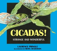 Enlarge image Cover: Cicadas! - Astra Young Readers