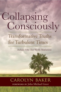 Enlarge image Cover: Collapsing Consciously - North Atlantic Books,U.S.