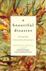 Bild: A Beautiful Disaster - Finding Hope in the Midst of Brokenness - Brazos Press, Div of Baker Publishing Group