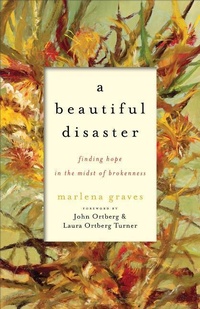 Bild vergrößern Bild: A Beautiful Disaster - Finding Hope in the Midst of Brokenness - Brazos Press, Div of Baker Publishing Group