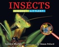 Cover: Insects - Boyds Mills Press