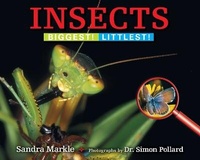 Enlarge image Cover: Insects - Boyds Mills Press