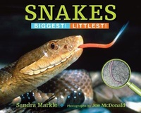 Enlarge image Cover: Snakes - Boyds Mills Press