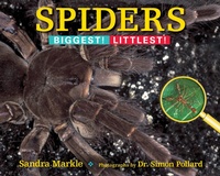 Enlarge image Cover: Spiders - Astra Young Readers