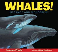 Enlarge image Cover: Whales! - Astra Young Readers