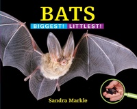 Enlarge image Cover: Bats - Astra Young Readers
