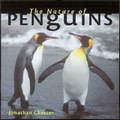 Cover: The Nature of Penguins - Celestial Arts