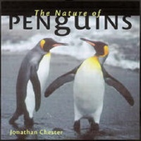 Enlarge image Cover: The Nature of Penguins - Celestial Arts