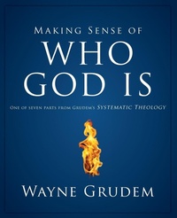 Enlarge image Cover: Making Sense of Who God Is - Zondervan Academic