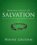 Cover: Making Sense of Salvation - Zondervan Academic
