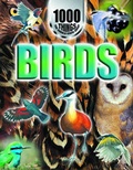Cover: Birds - Mason Crest Publishers