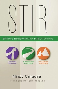 Enlarge image Cover: STIR - Zondervan