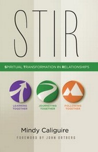 Enlarge image Cover: STIR - Zondervan