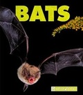 Cover: Bats - Child's World