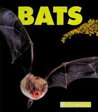 Enlarge image Cover: Bats - Child's World