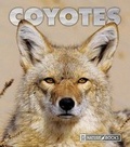 Cover: Coyotes - Child's World