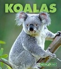 Cover: Koalas - Child's World