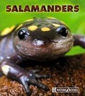 Cover: Salamanders - Child's World