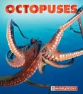 Cover: Octopuses - Child's World
