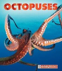 Enlarge image Cover: Octopuses - Child's World