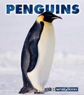 Cover: Penguins - Child's World